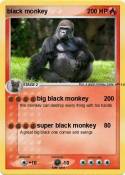black monkey