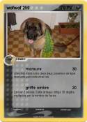 wofwof 259