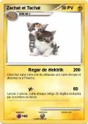 Zachat et Tacha