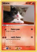 kittwiss