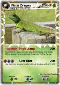 Water Dragon