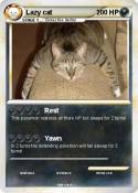 Lazy cat