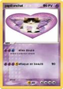 papillonchat 1