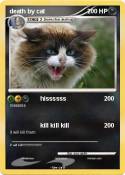 death by cat