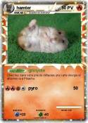 hamter