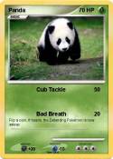 Panda