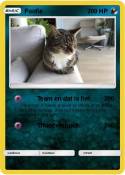 Foofie