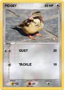 PIDGEY