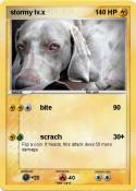 stormy lv.x