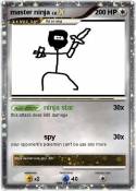master ninja