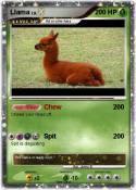 Llama