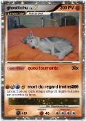 ghosttichu