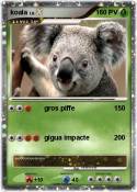 koala