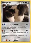 Purrogi