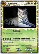 Tigre blanc