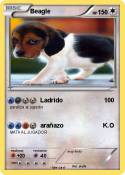 Beagle