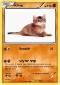 Kitten