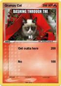 Grumpy Cat