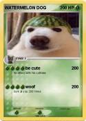 WATERMELON DOG