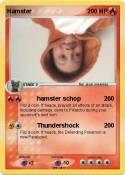 Hamster