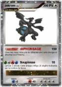 zekrom