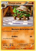 Cheese tortue