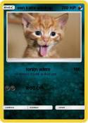 een katte
