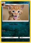 een katte