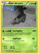 Gatto Silvestro