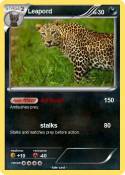 Leapord