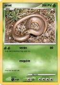 orvet