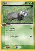 Furet
