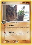 Bean