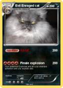 Evil Enraged
