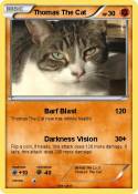 Thomas The Cat
