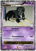 Bo