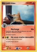 Mon petit chien