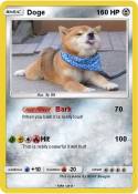 Doge