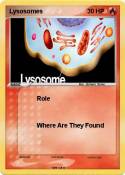 Lysosomes