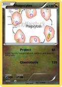 Phagocytes