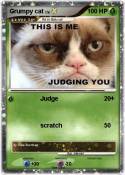 Grumpy cat