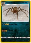 spider kong