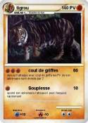 tigrou