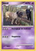 mastiff
