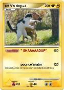 cat V's dog