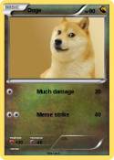 Doge