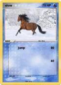 snow