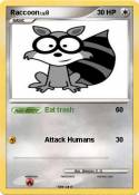 Raccoon