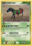 zèbre multicolo