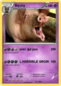 Big pig